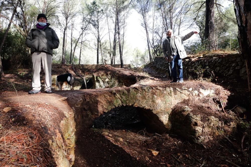 La fuente que alimentaba el canal de Fruitera y los huertos cercanos a Santa Gertrudis vuelve a estar a la vista