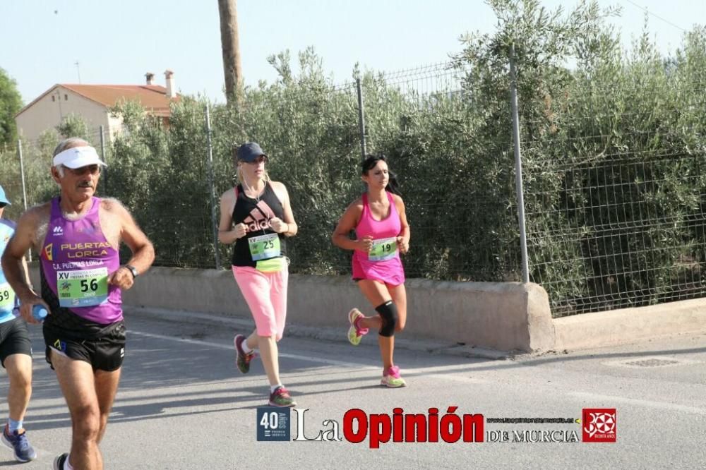 XV Carrera Popular Fiestas del Campillo