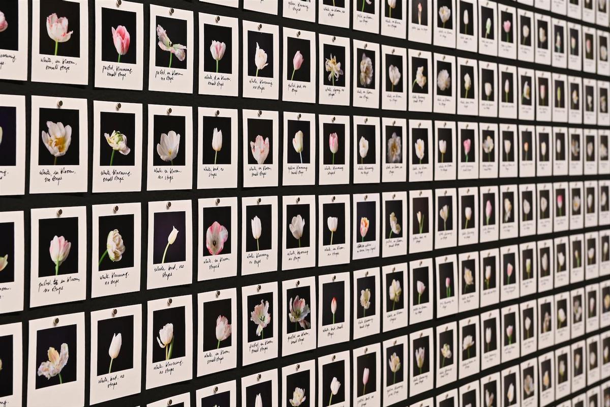 'El sueño de la razón' invitan a reflexionar sobre qué significa ver y creer en lo que vemos