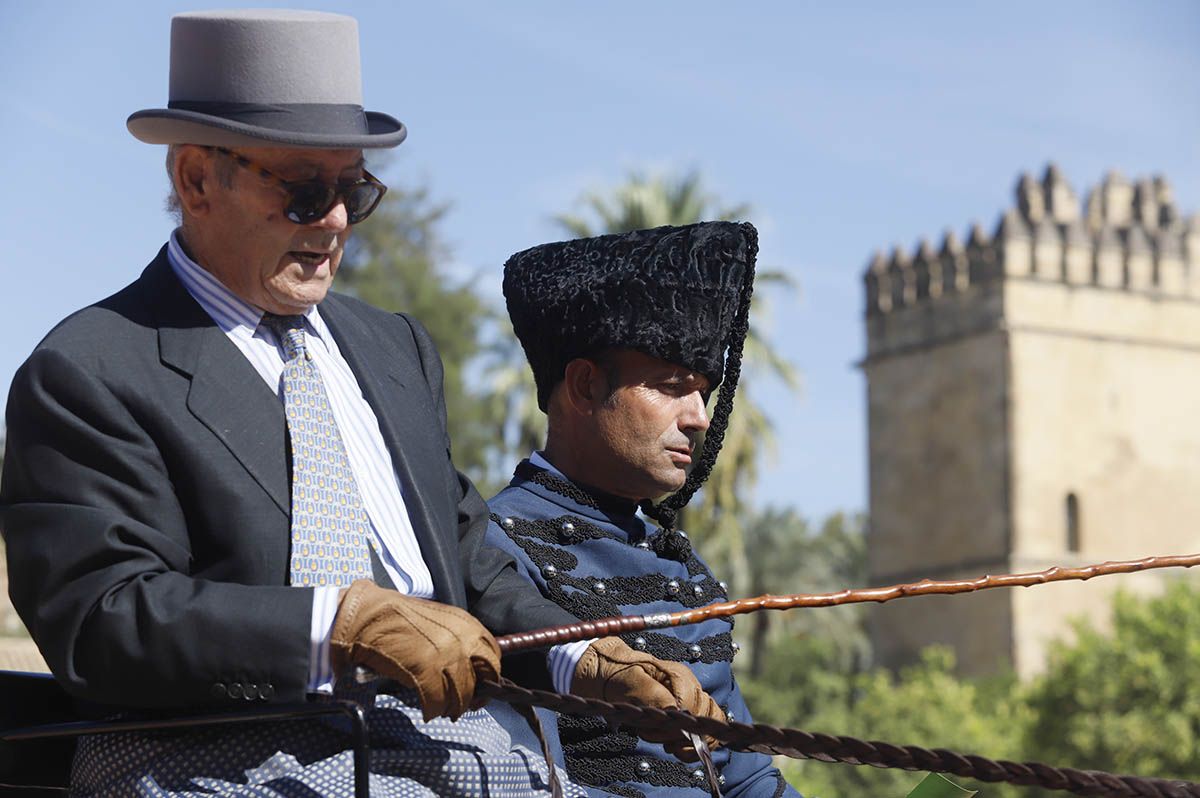 Concurso de atalaje de Córdoba en Cabalcor