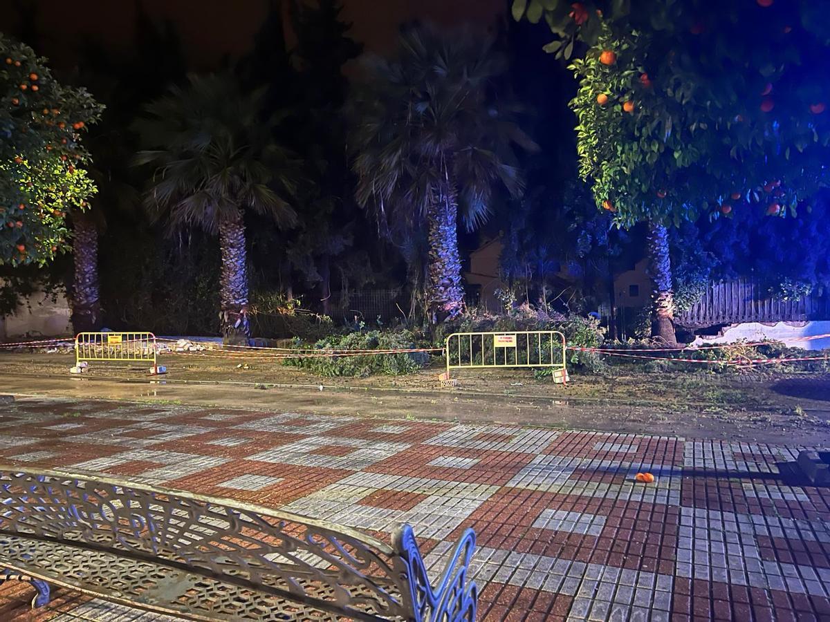 Ábroles caídos en Palma del Río por el temporal.