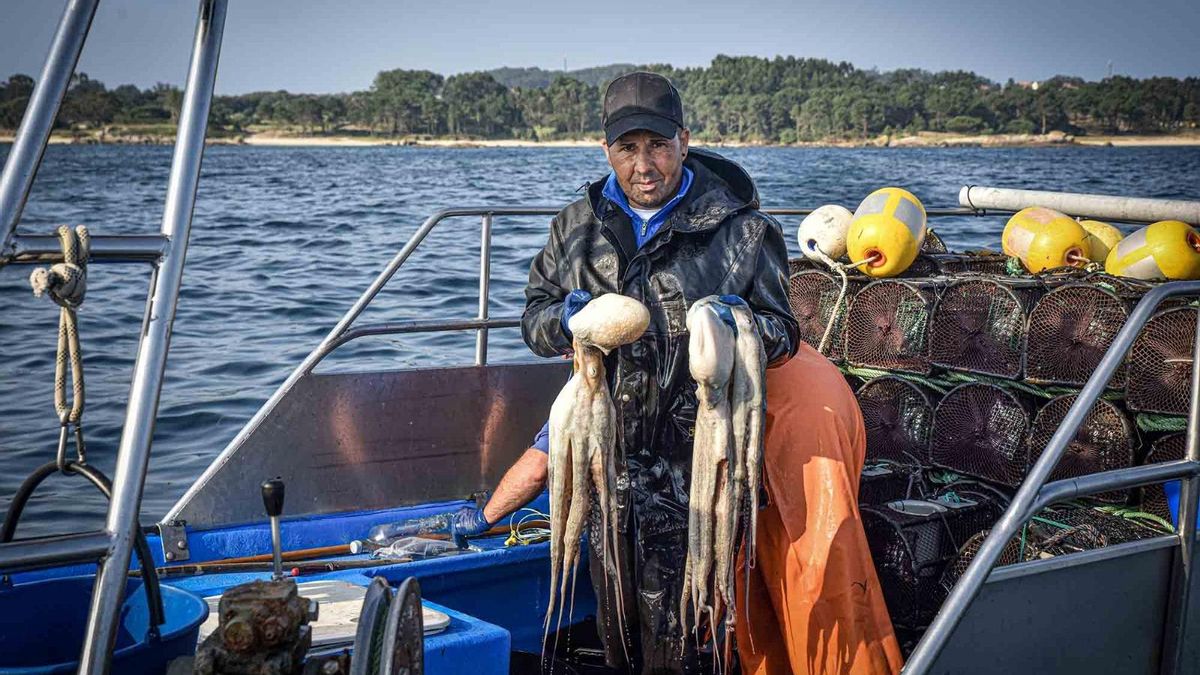 Un marinero mostrando dos pulpos (legales) de la ría, en aguas de O Grove.