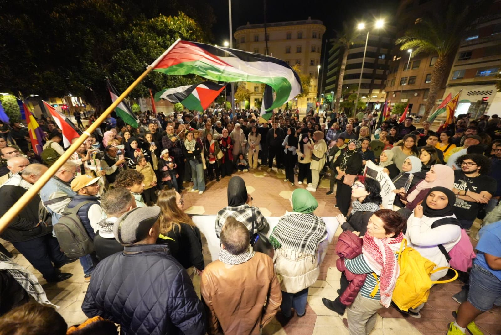 Galería: Multitudinaria manifestación en Castelló en defensa de Palestina