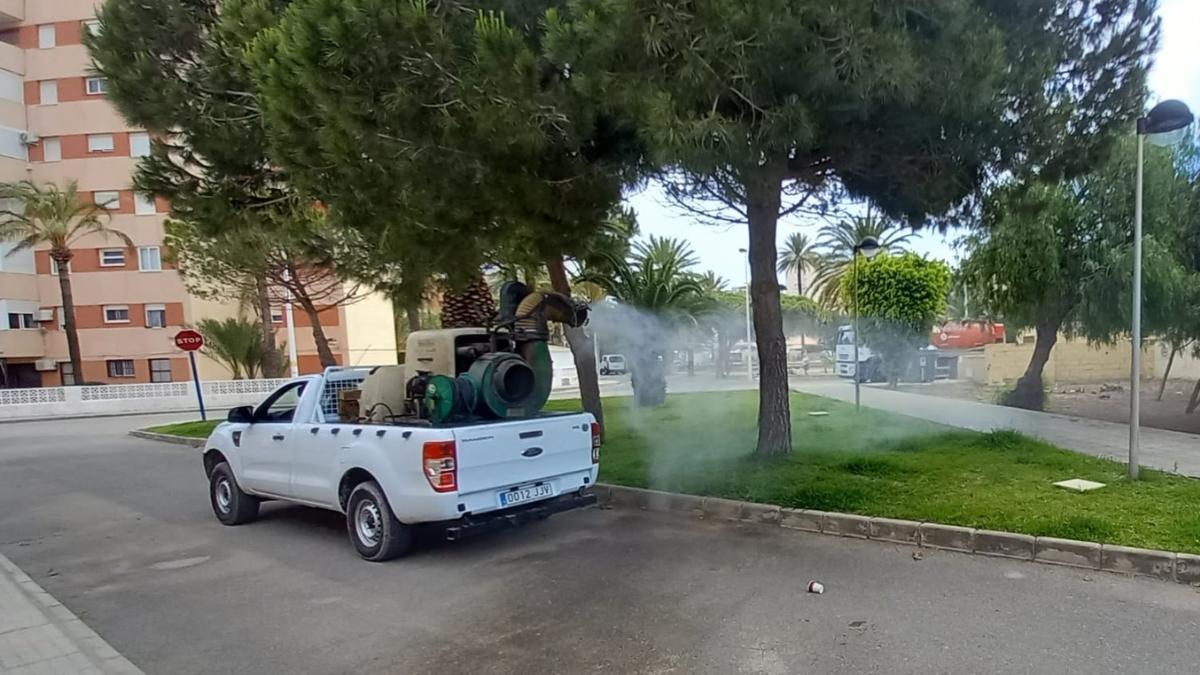 Cartagena refuerza las medidas de control de mosquitos tras la DANA