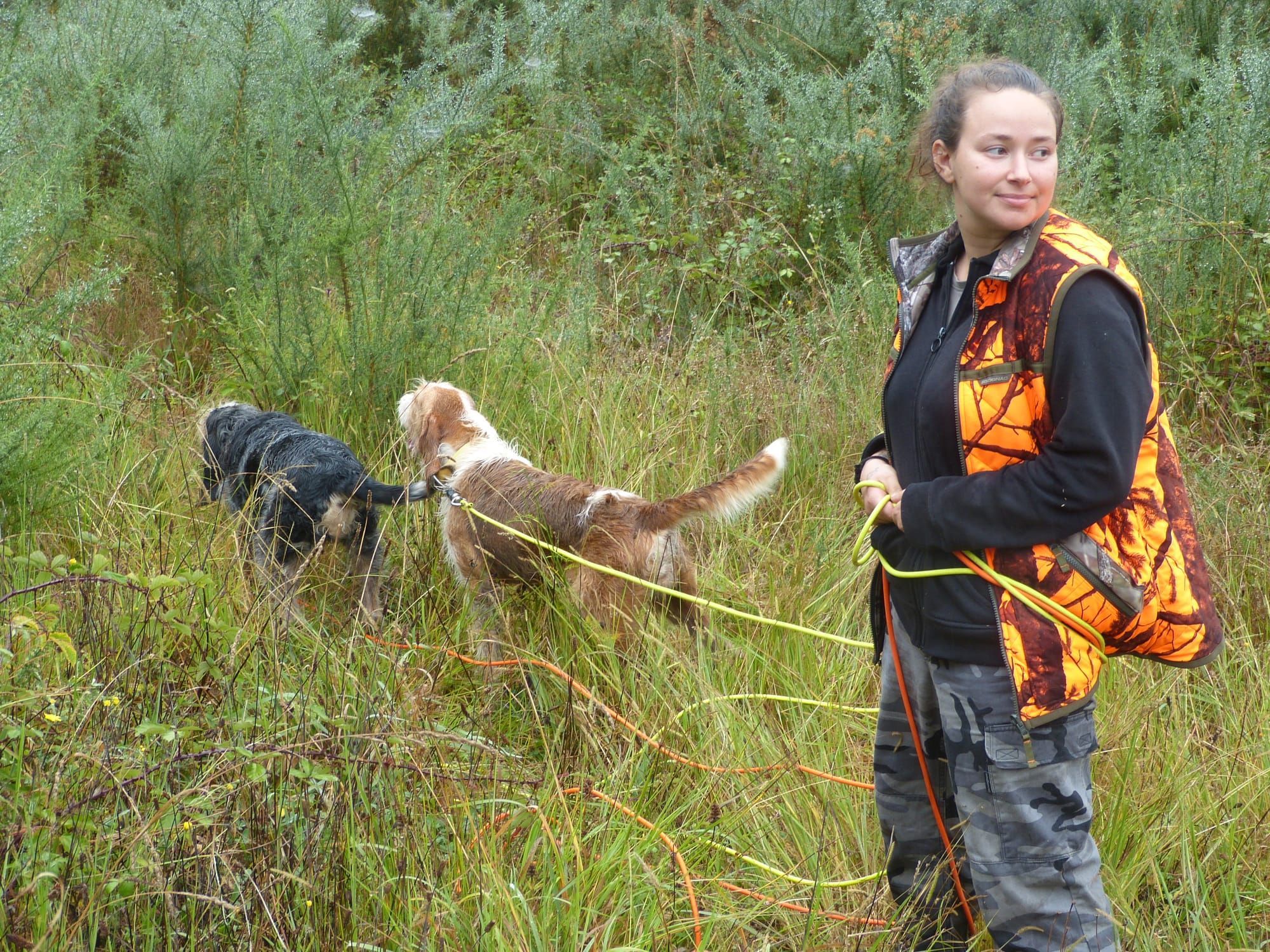 Los cazadores de O Salnés y sus perros disfrutaron de dos jornadas de caza de jabalí con suerte desigual.