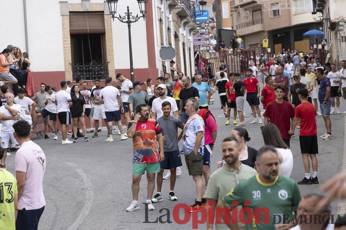 Fiestas de Moratalla/Séptimo encierro_013