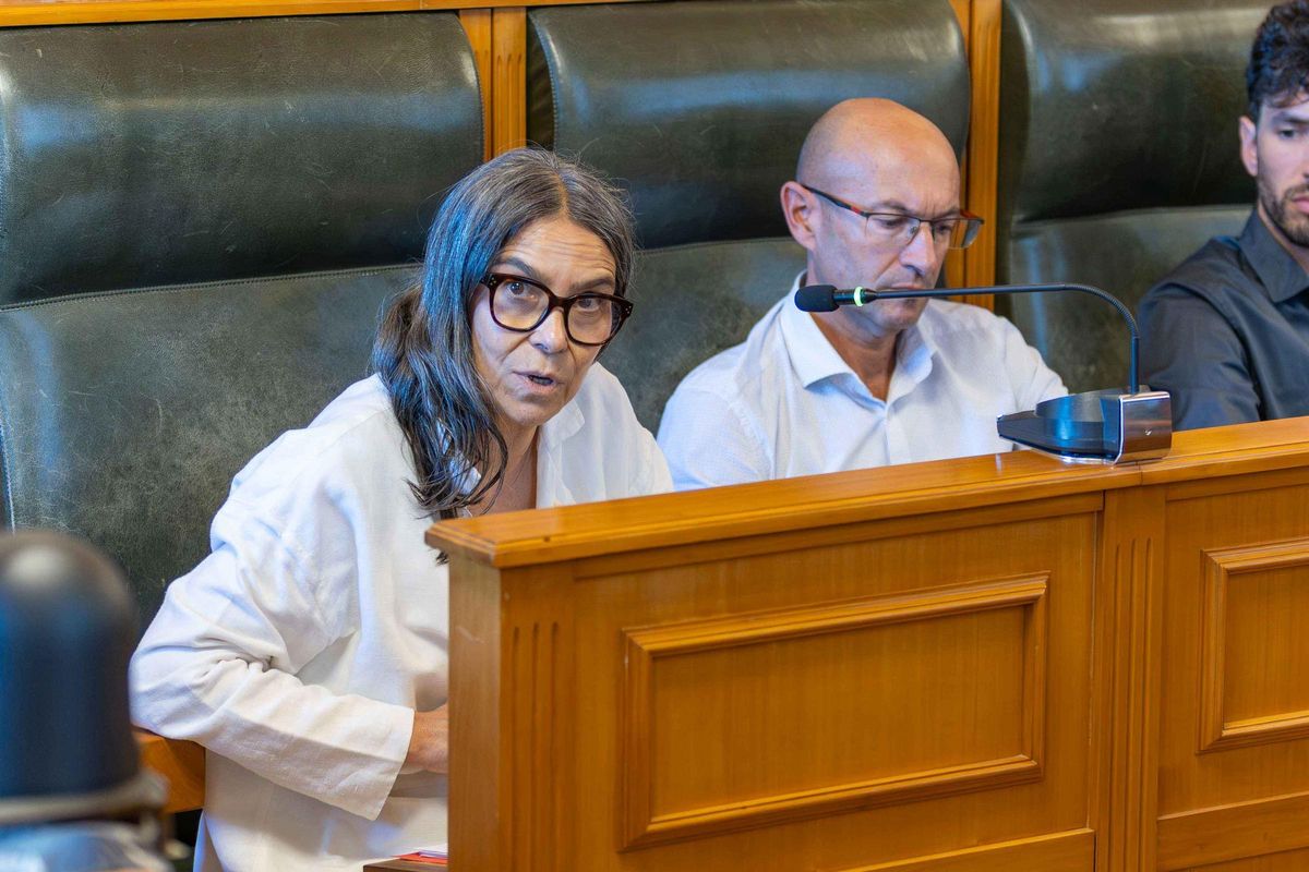 O pleno compostelán dille 'Si' á ordenanza da taxa turística pese á critica da oposición