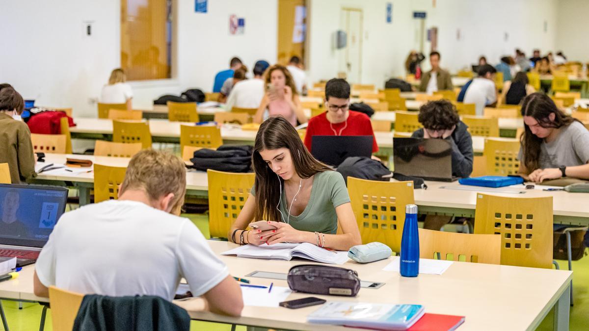 Alumnos estudiando en la universidad.