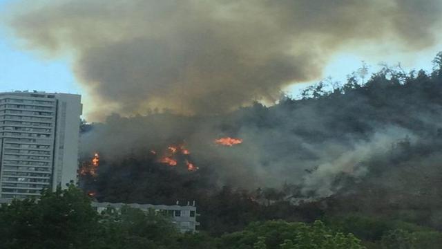 Incendio forestal avanza en pleno centro de Santiago de Chile
