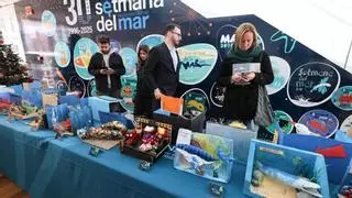 Un llamativo molusco de Ibiza, mascota de la Setmana del Mar de 2026