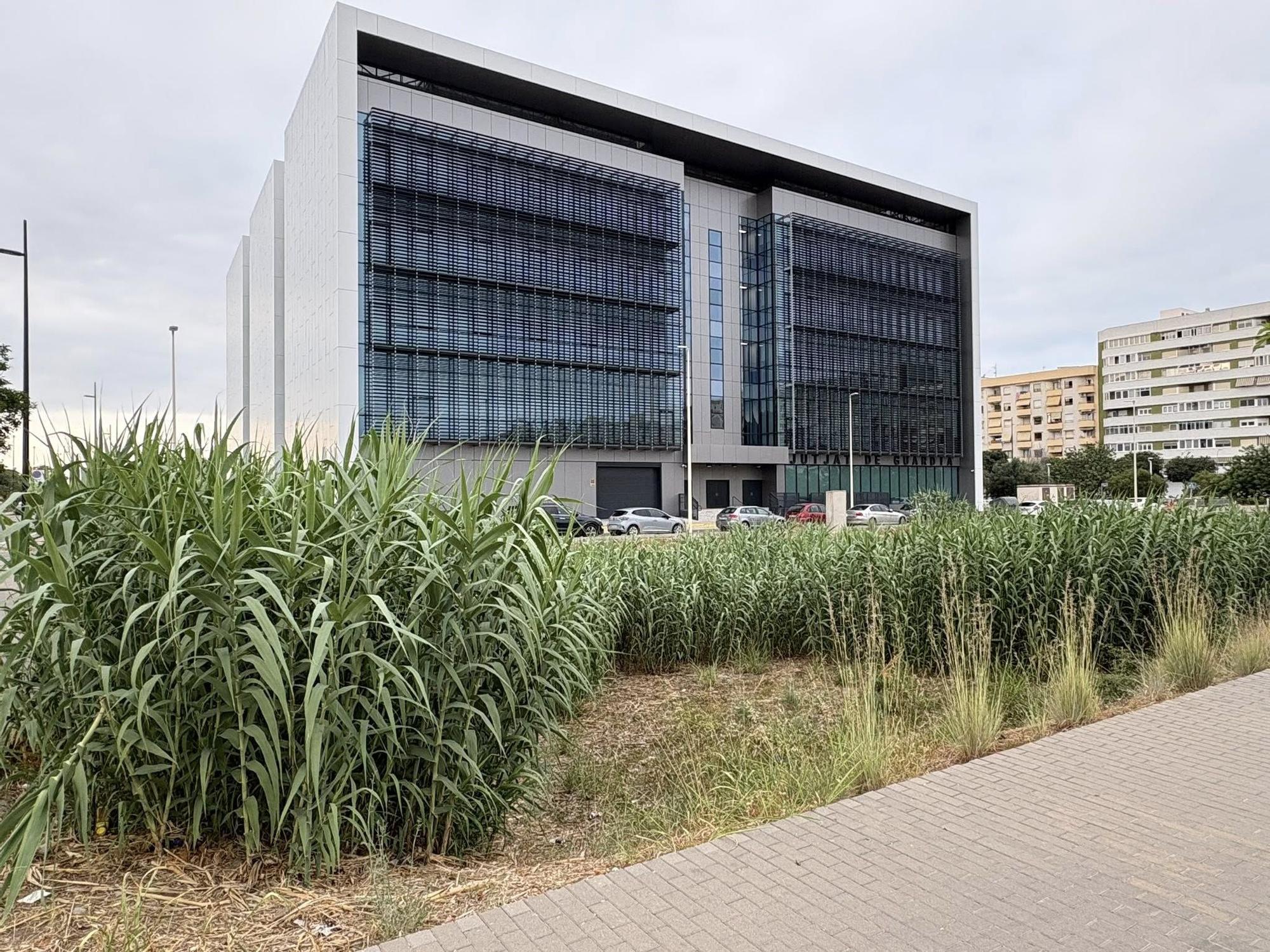 Una de las parcelas de la Generalitat junto a los Juzgados.
