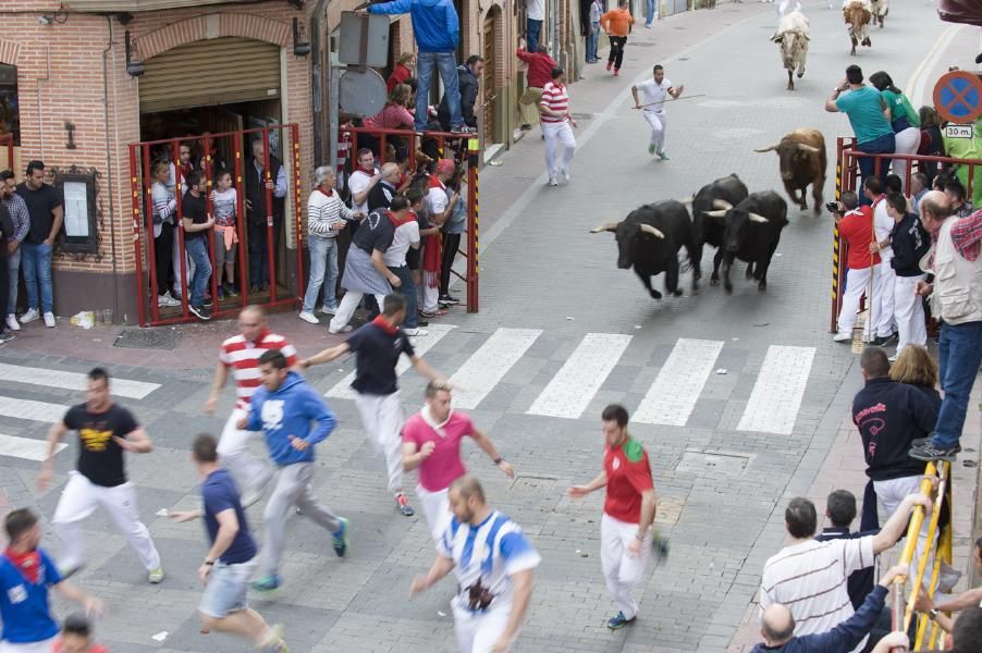 Becerrada, encierros y vaca de la sangría