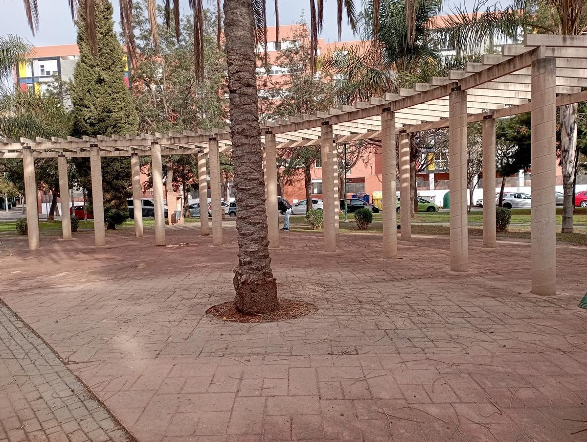 Entre las columnas del parque Manuel Navarrete, un indigente joven, fijo en la zona.