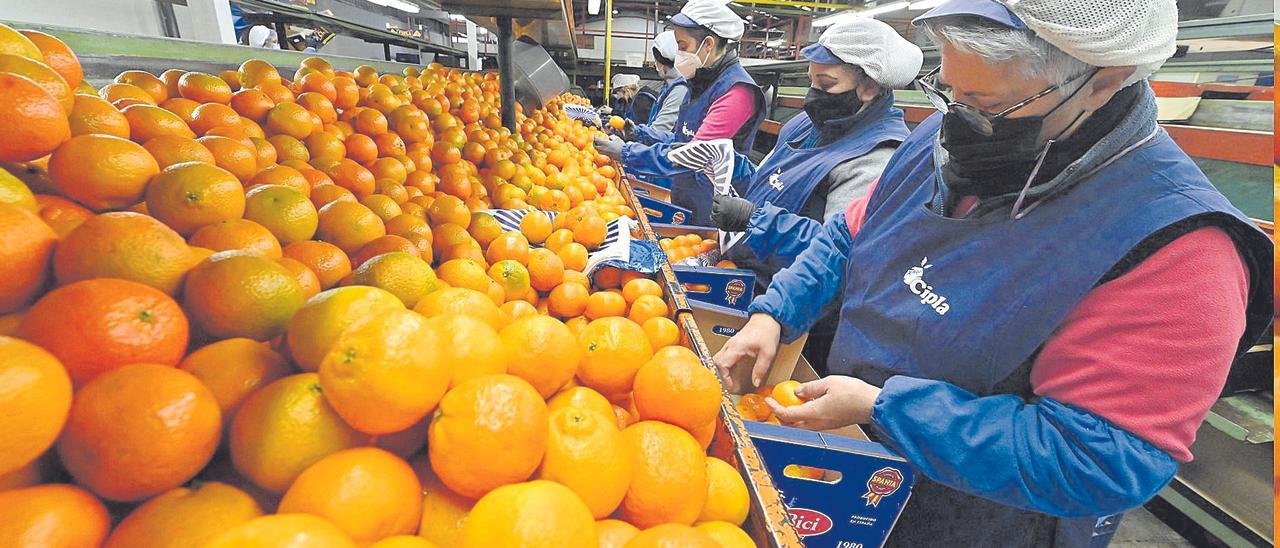 La brecha salarial entre mujeres y hombres solo se reduce 100 euros en la C. Valenciana