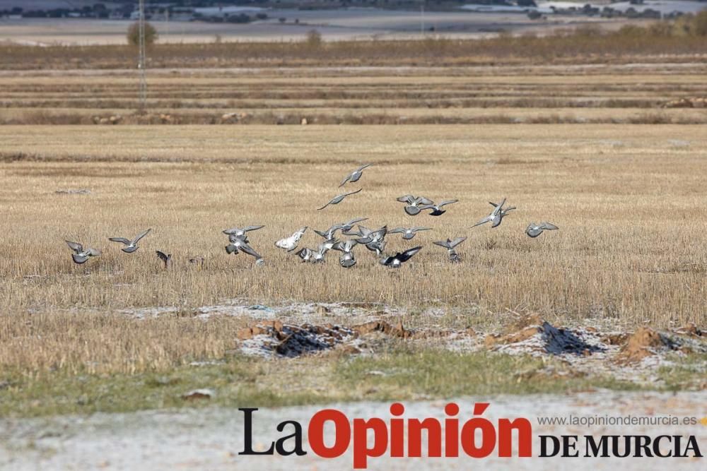 La nieve llega a las pedanías de la comarca del No