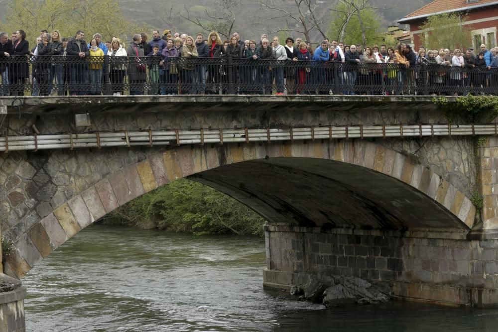 Subasta del campanu en Cangas de Onís