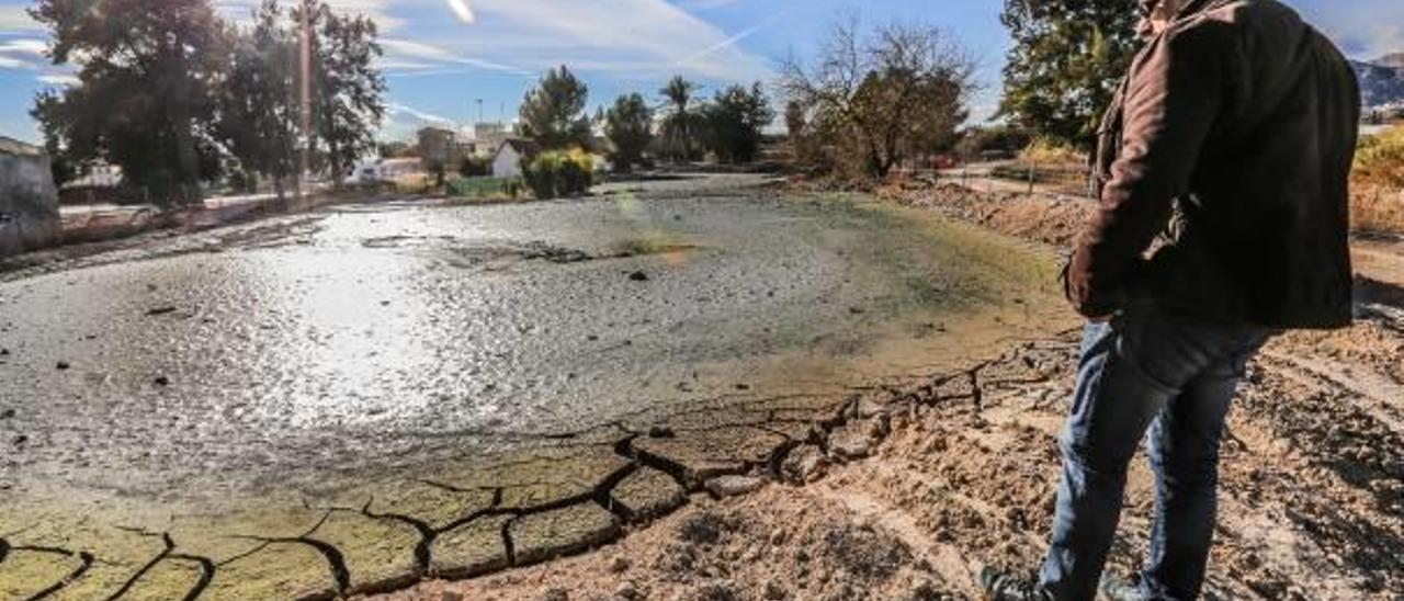 Los sedimentos se encuentran depositados en cinco grandes balsas en un soto del río Segura en Correntías.