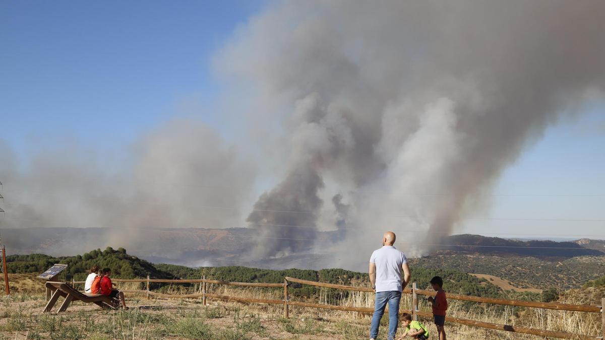 Incendio forestal en Cerro Muriano