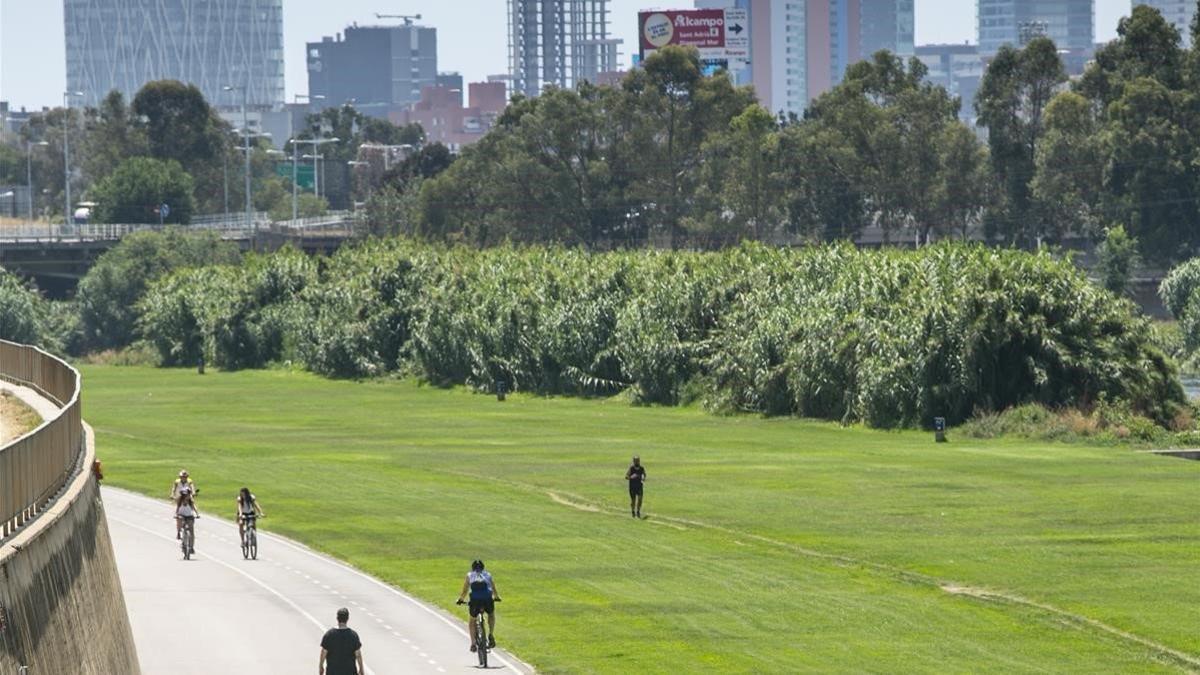 Deportistas en el Parque Fluvial del Besòs, en agosto del 2003