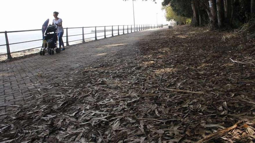 Paseo de Massó, en Cangas. // Santos Álvarez