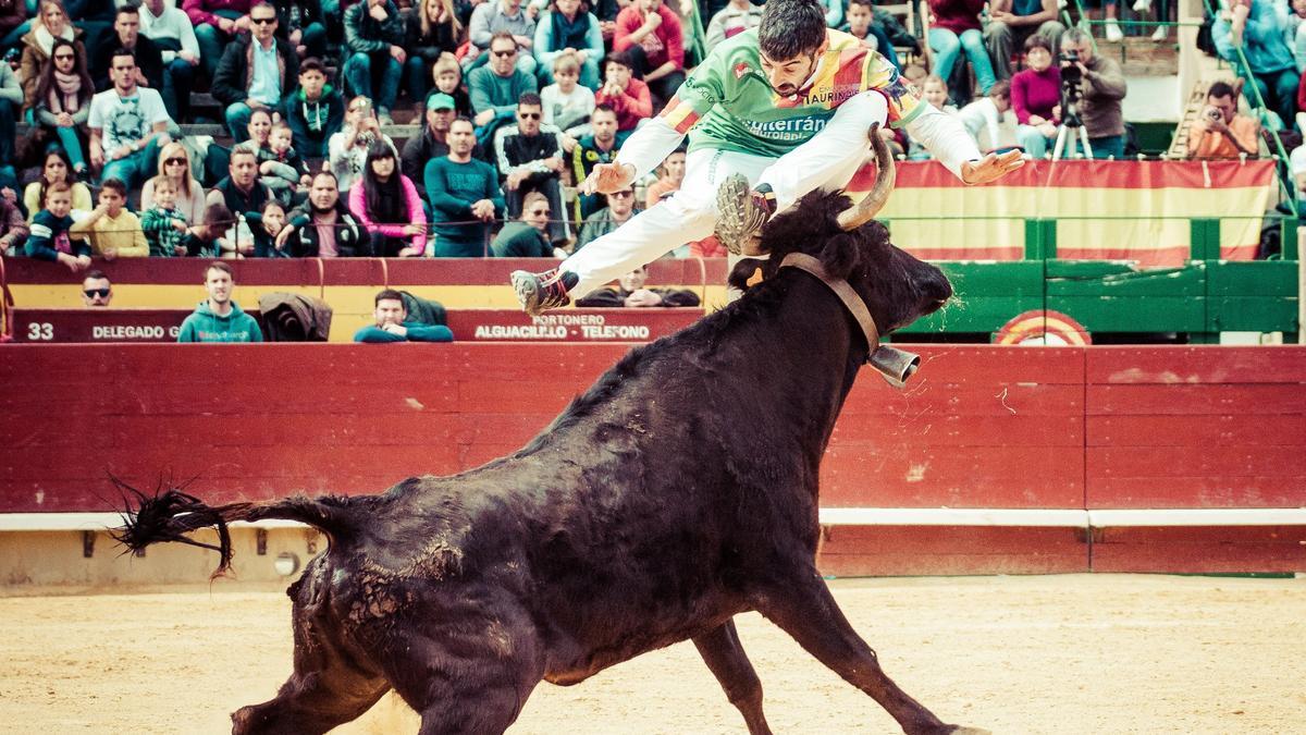 Maestros de la calle citará a los mejores recortadores a partir de las 11.00 en el coso de la capital de la Plana.