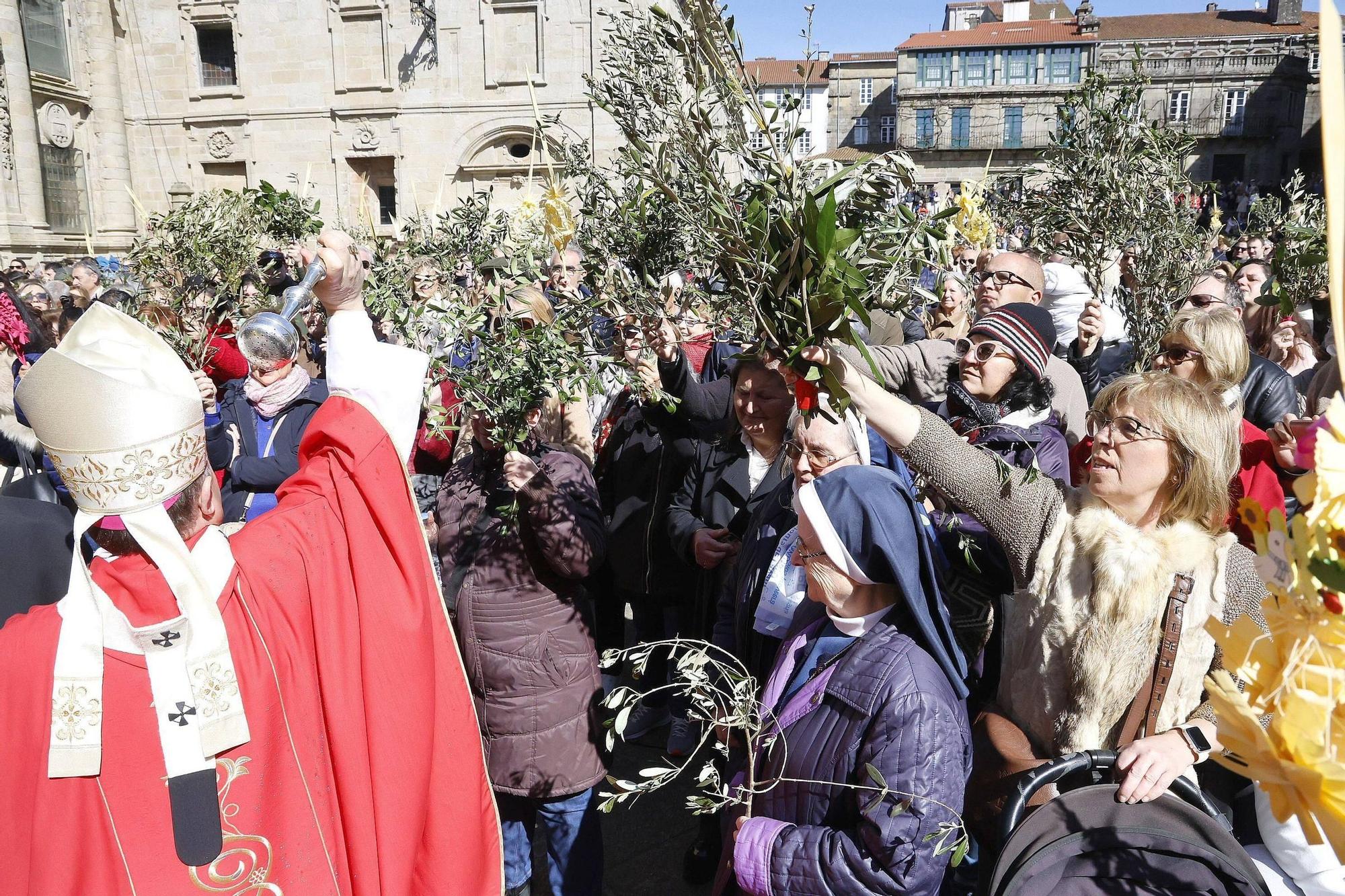 Procesión de la Borriquita y bendición de palmas en el Domingo de Ramos