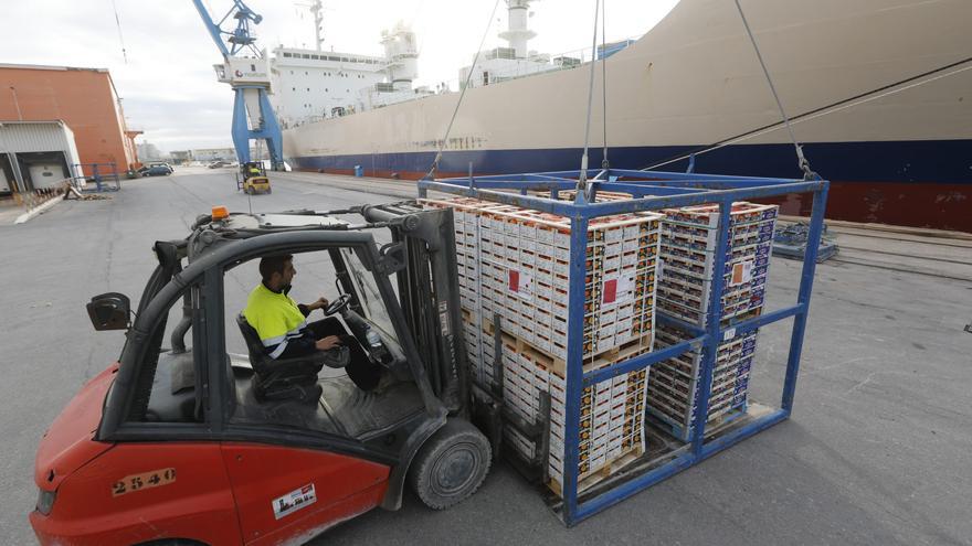 La Unió refuerza en Bruselas su campaña contra las importaciones desleales de fruta