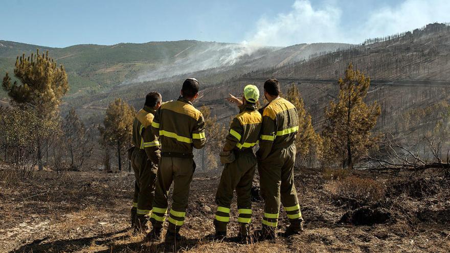 Brigadistas observan los devastadores efectos de un incendio en Vilardevós // Brais Lorenzo