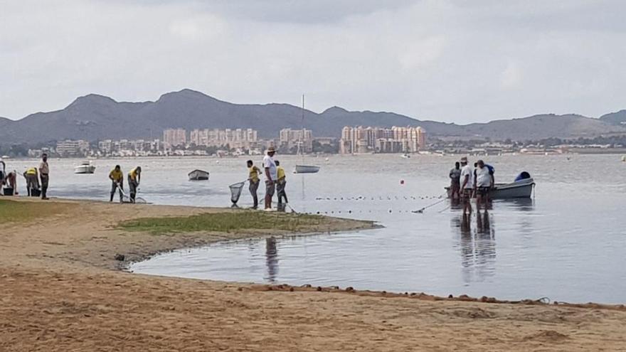 El Ayuntamiento de Cartagena adjudica el contrato para limpiar la orilla del Mar Menor