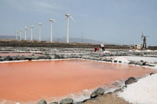 Reportaje en las Salinas de Tenefe en Pozo Izquierdo