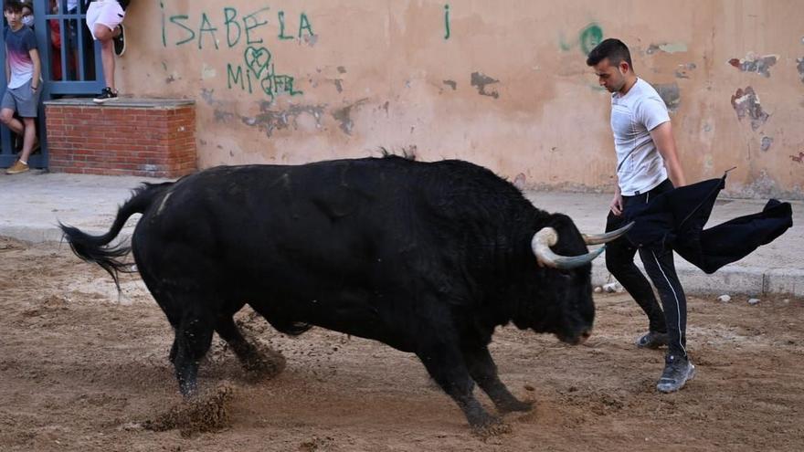 Los toros de la ganadería El Freixo brillaron por su imponente presencia, aunque su juego fue desigual.