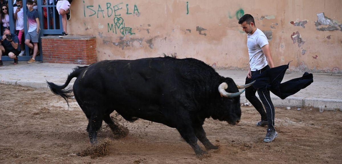 Los toros de la ganadería El Freixo brillaron por su imponente presencia, aunque su juego fue desigual.