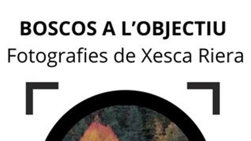 Dia Internacional dels Boscs: exposició fotogràfica de Xesca Riera