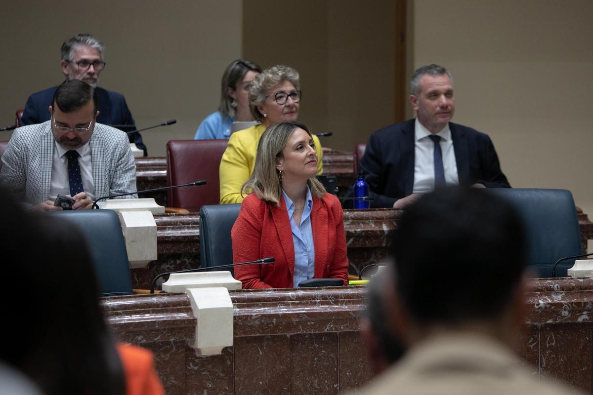Conchita Ruiz, consejera de Política Social, este jueves en la sesión de control al Gobierno de la Asamblea.