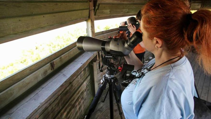 Varias personas, ayer, observando aves en Zeluán.