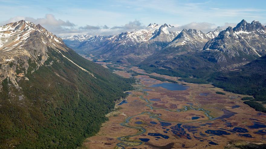 Turberas: los mayores depósitos de carbono del planeta, al borde del colapso