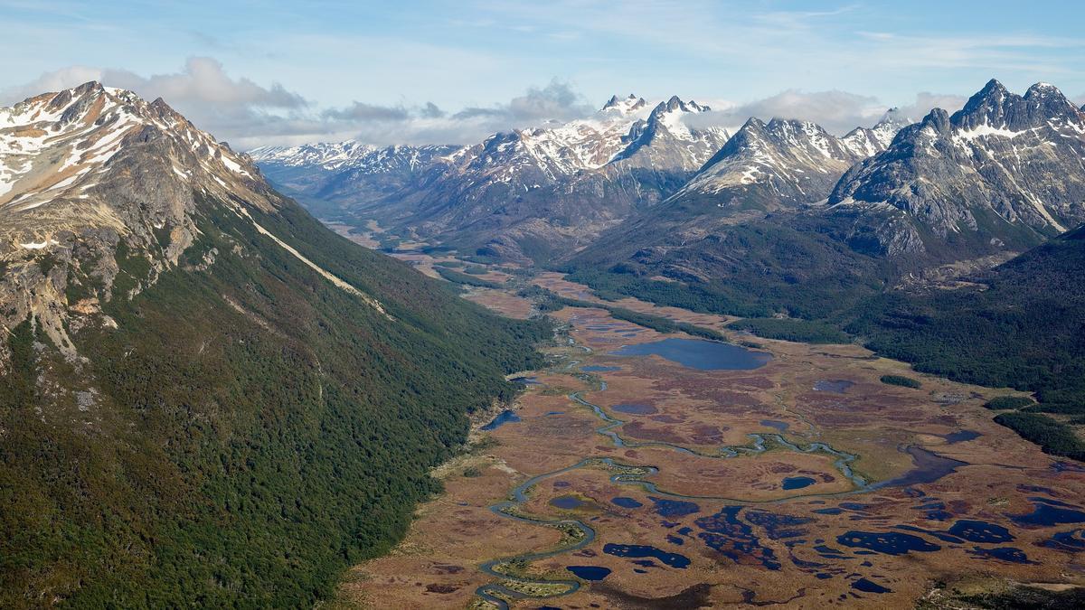 Turberas en el Valle Carbajal, en Tierra del Fuego (Argentina).