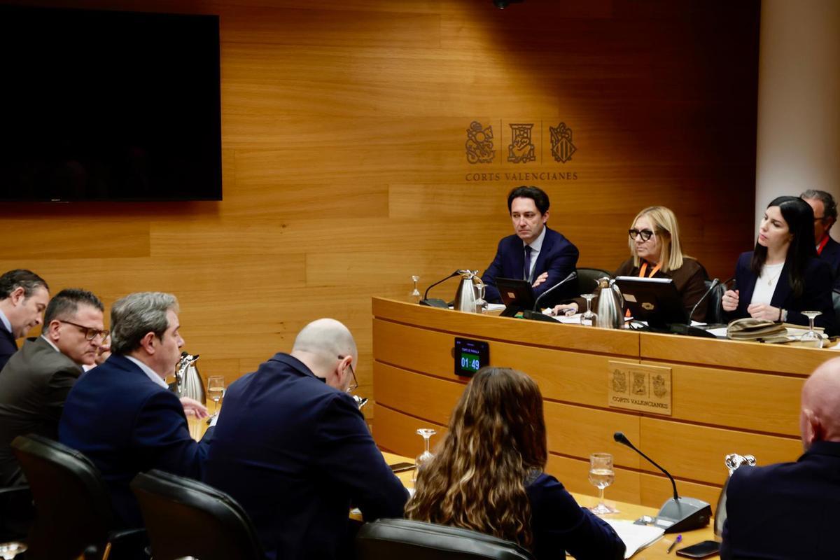 Asociaciones de víctimas declaran en la Comisión de la dana en las Corts