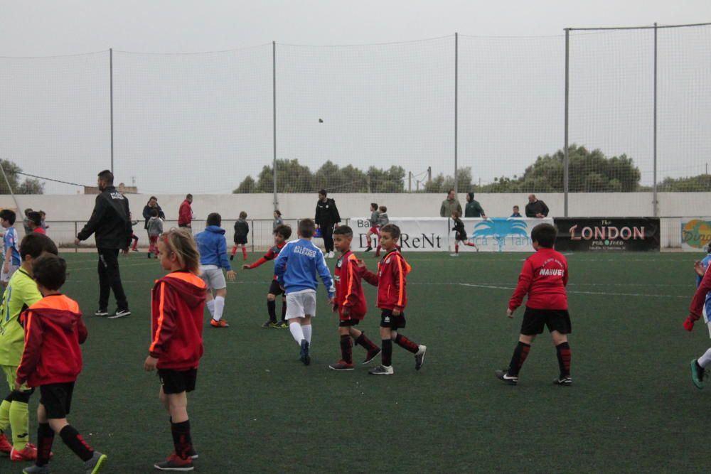 Torneo de Pascua de Cala d'Or, categoría prebenjamín.