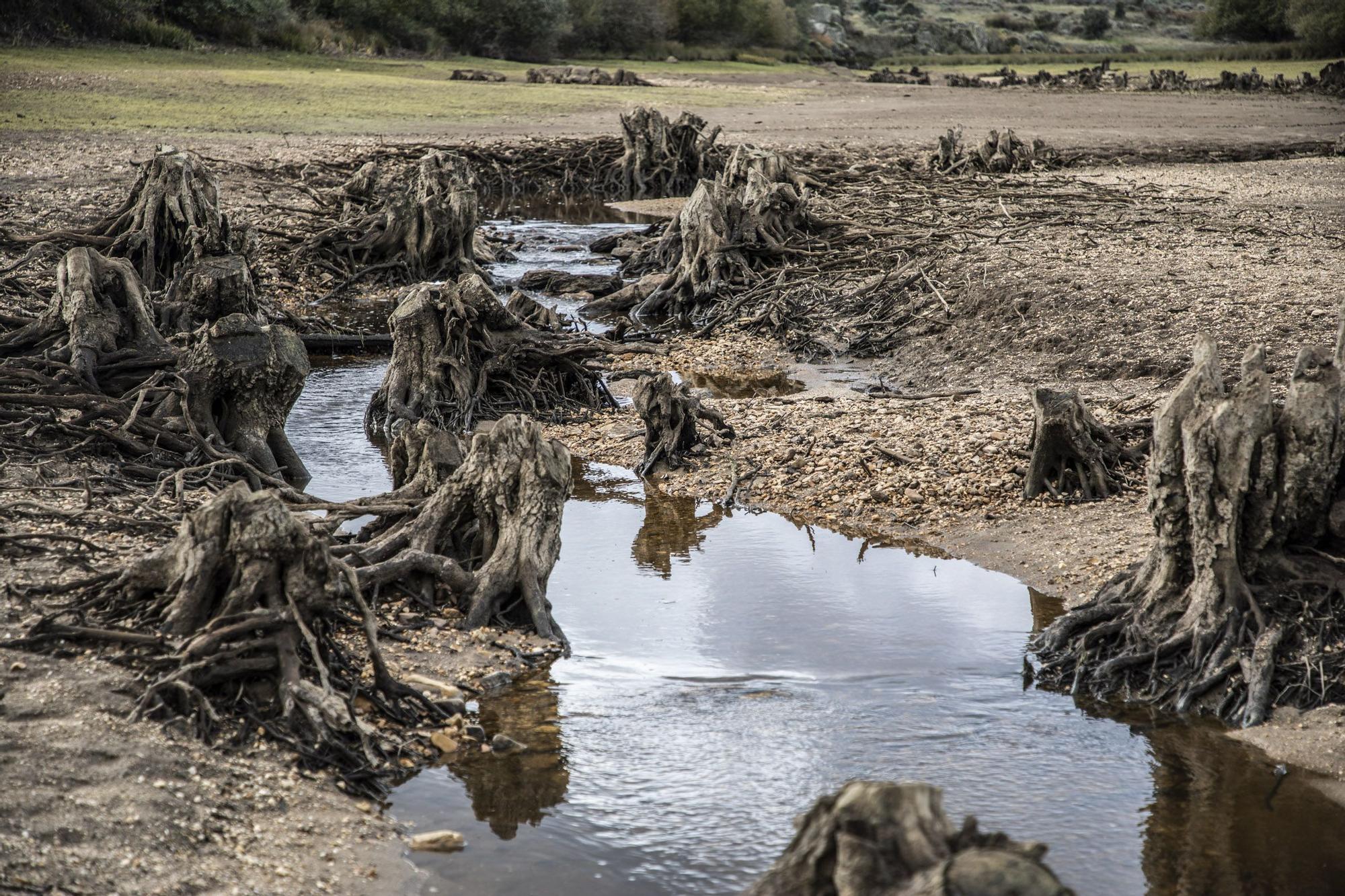 Los embalses de Zamora se vacían para recibir tormentas