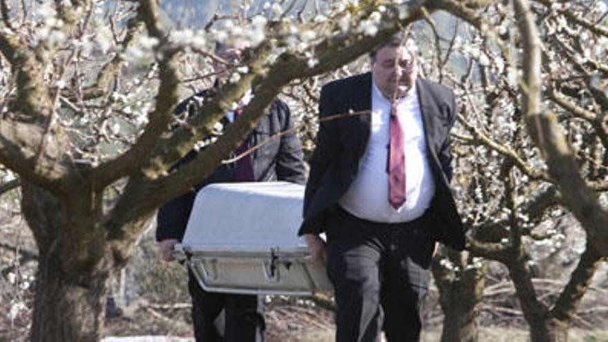 Los funerarios trasladan entre almendros el féretro con el cadáver del fallecido.