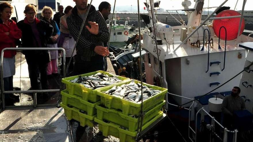 Un cerquero descarga sardinas en el puerto de Cambados.  // Iñaki Abella