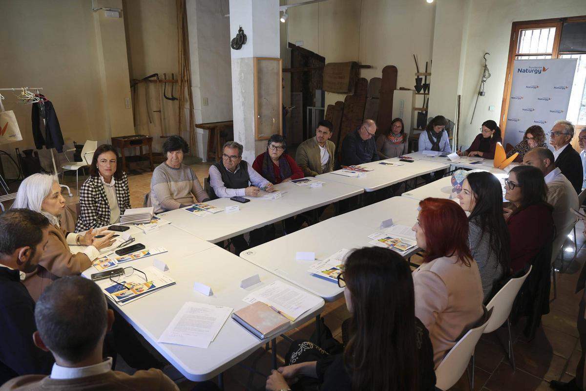 La mesa de diálogo de las asociaciones beneficiadas por las ayudas y representantes de la fundación Naturgy.
