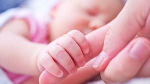 El consolat dEspanya a Kíev comença a inscriure els nadons nascuts mitjançant ventres de lloguer