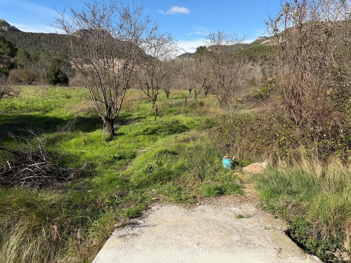 Nuevo terreno para crear plazas de aparcamiento en la pedanía de La Alquería.