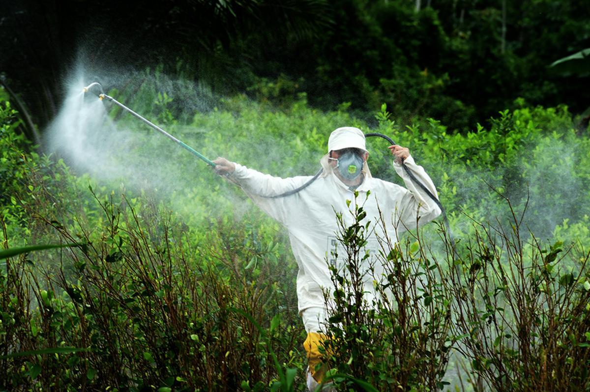 Agricultor aplicando herbicida