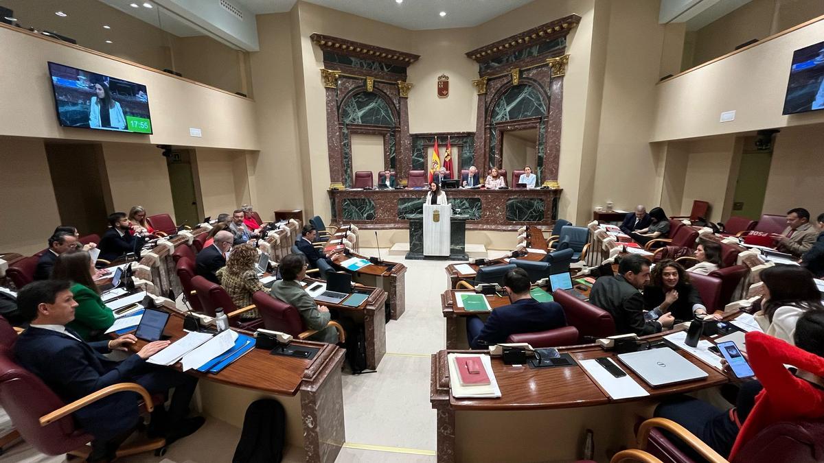 La consejera Sara Rubira, durante su comparecencia este miércoles en la Asamblea Regional