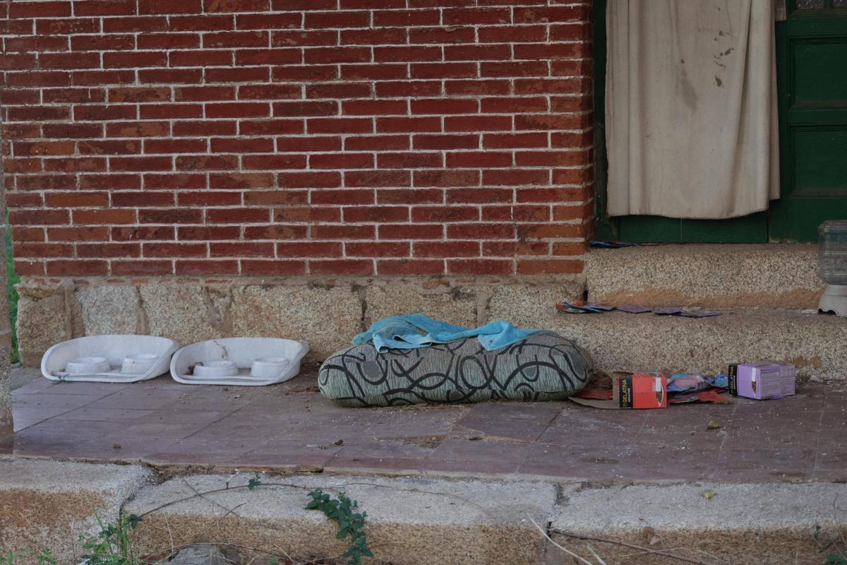 Una colonia felina en Cáceres