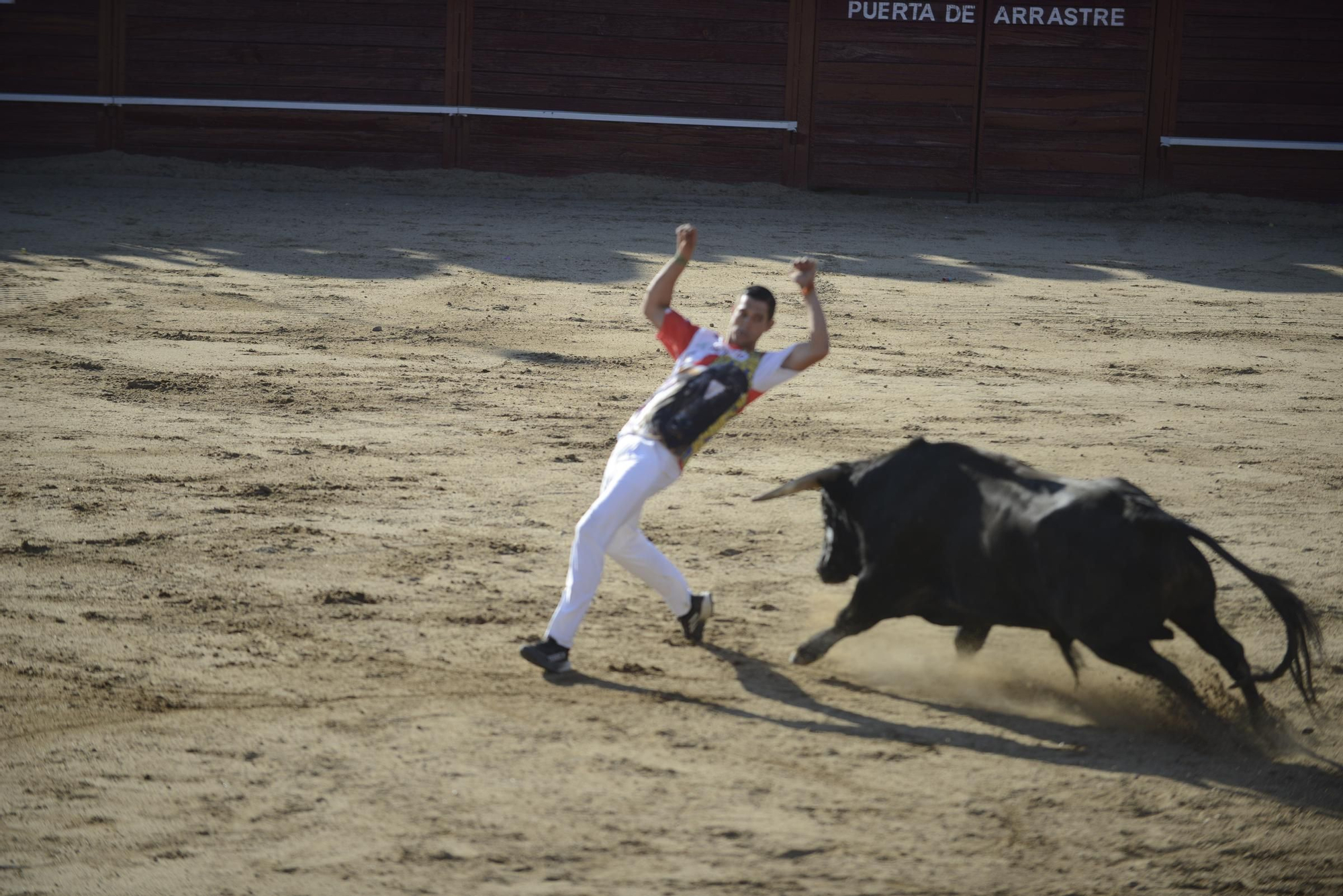 GALERÍA | Unos cuantos cortes de los arriesgados en Benavente