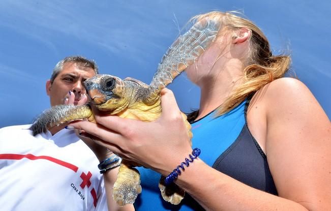 18/03/2016 PLAYA DEL INGLES, SAN BARTOLOME DE TIRAJANA. Suelta de tortugas bobas en Playa del Ingles. Foto: SANTI BLANCO